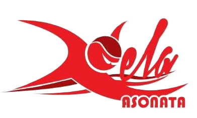 Asonata Logo